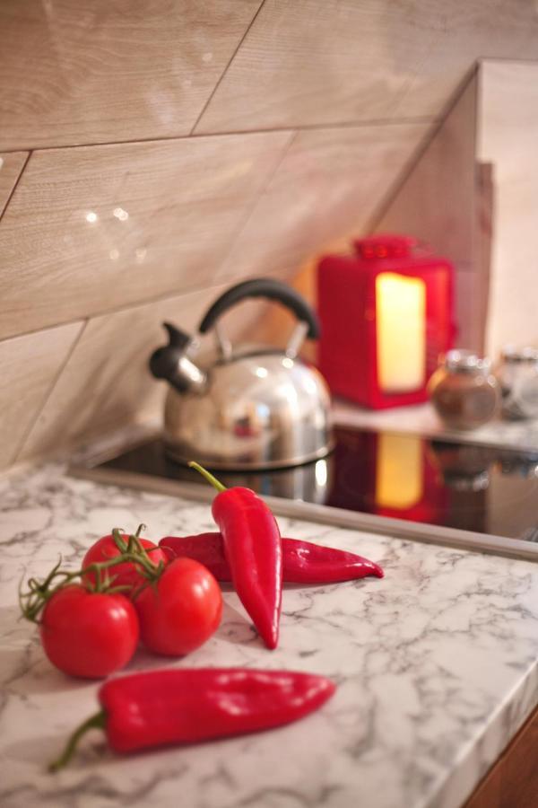 Willa Przy Skoczni 2 Apartment ซาโกปาเน ภายนอก รูปภาพ