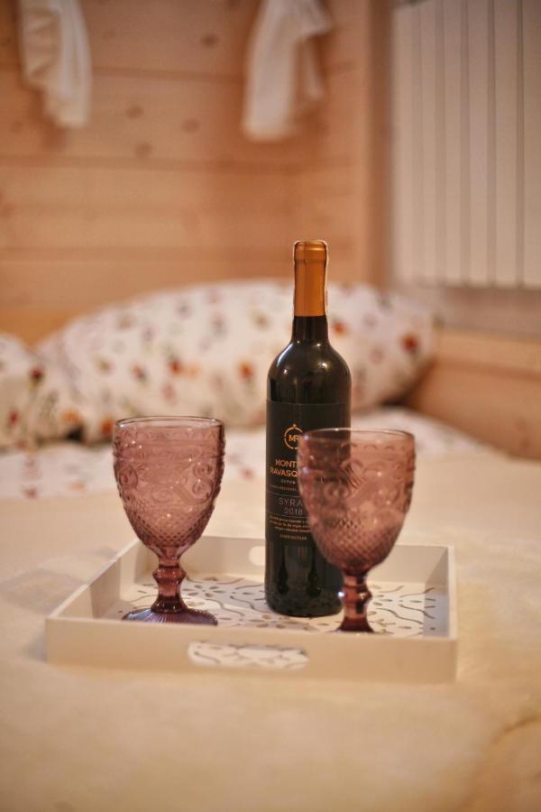Willa Przy Skoczni 2 Apartment ซาโกปาเน ภายนอก รูปภาพ